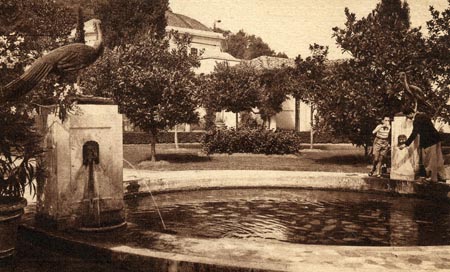 281. Chianciano - R.R. Terme Postcard